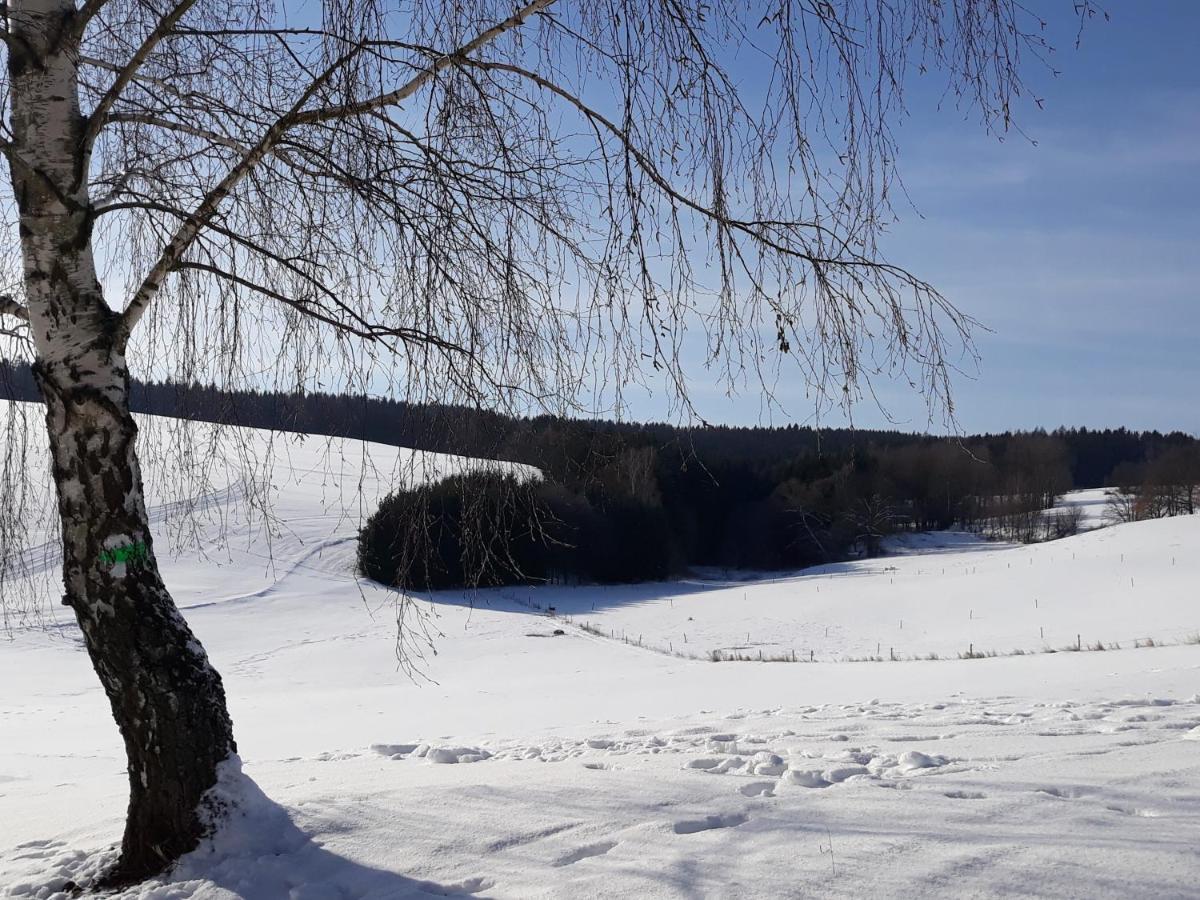 Chalupa Nad Popelkou Lomnice nad Popelkou Екстериор снимка
